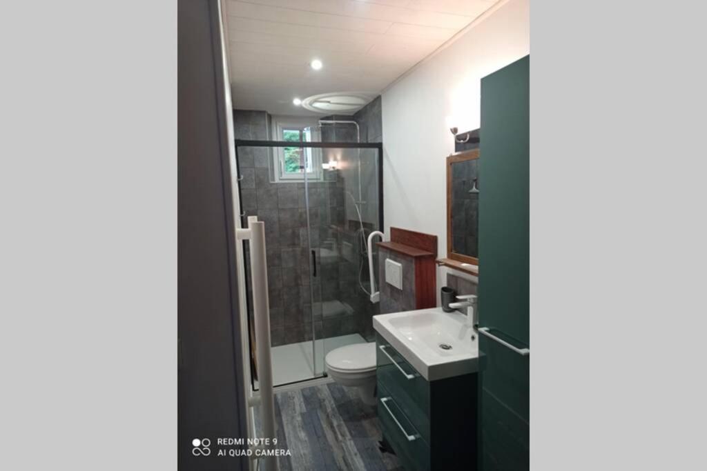 Grand Appartement 4 Etoiles A 800M De La Mer Saint-Malo Buitenkant foto